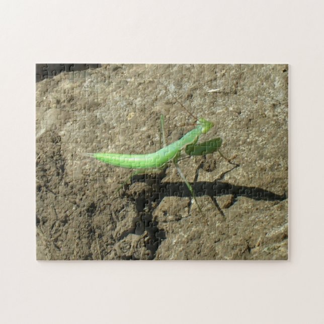Puzzle - Praying mantis (Horizontal)
