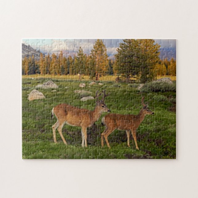 Puzzle Pré de Tuolumne, Yosemite (Horizontal)