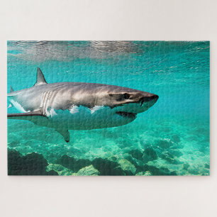 Puzzle Predator tropical : Grand requin blanc