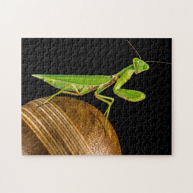 Puzzle Prier Mantis Macro (Horizontal)