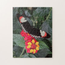 Puzzle principal de papillon de piano