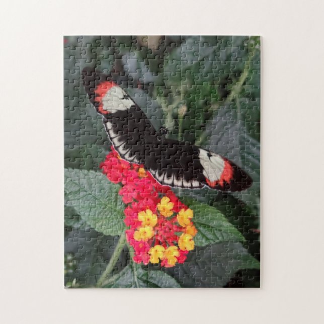 Puzzle principal de papillon de piano (Vertical)