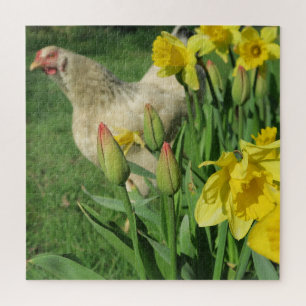 Puzzle printemps, poulet, animal, poussin, oiseau, ferme,