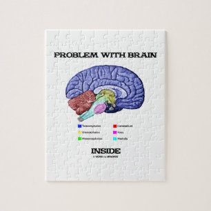 Puzzle Problème avec l'intérieur de cerveau (anatomie de