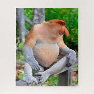 Puzzle Proboscis Monkey.