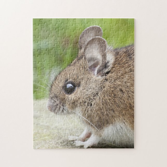Puzzle Profil de la souris (Vertical)