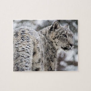 Puzzle Profil de léopard de neige dans la neige