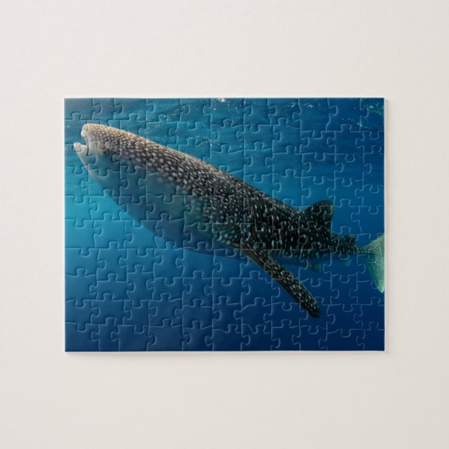 Puzzle Profil d'un requin baleine, Indonésie (Horizontal)