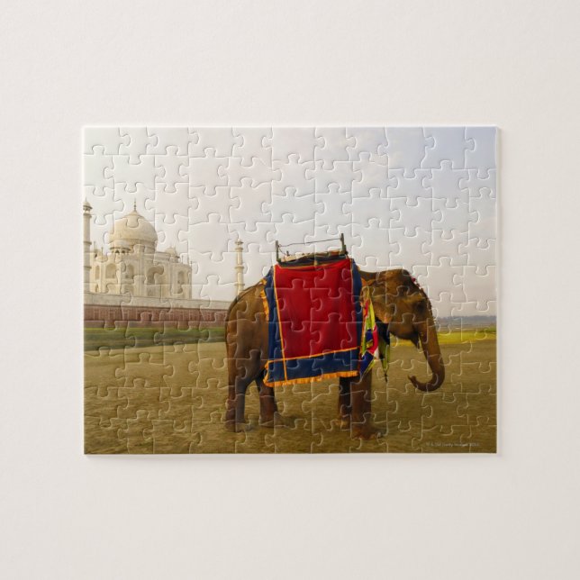 Puzzle Profil latéral d'un éléphant, Taj Mahal, Inde (Horizontal)