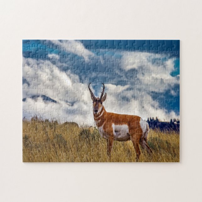 Puzzle Pronghorn Deer Montana. (Horizontal)