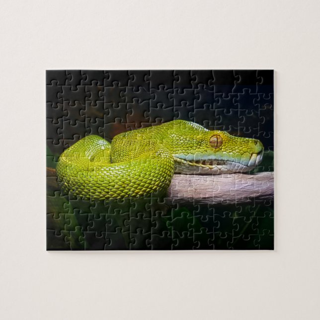Puzzle Propriétaire du serpent Python à arbre vert (Horizontal)
