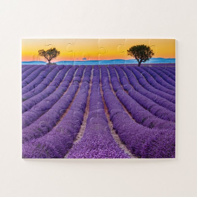 Puzzle Provence, France Plateau de Valensole. (Horizontal)