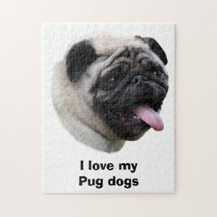 Puzzle Pug dog pet photo