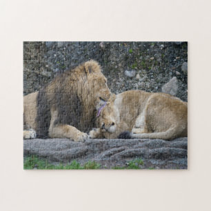 Puzzle Puissant amour Lion