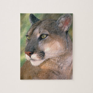 Puzzle Puma, Californie