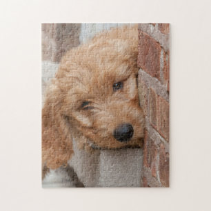 Puzzle Puppy Pékin