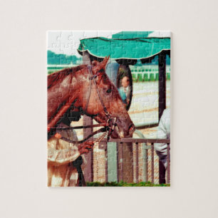 Puzzle Pur sang 1979 d'Alydar