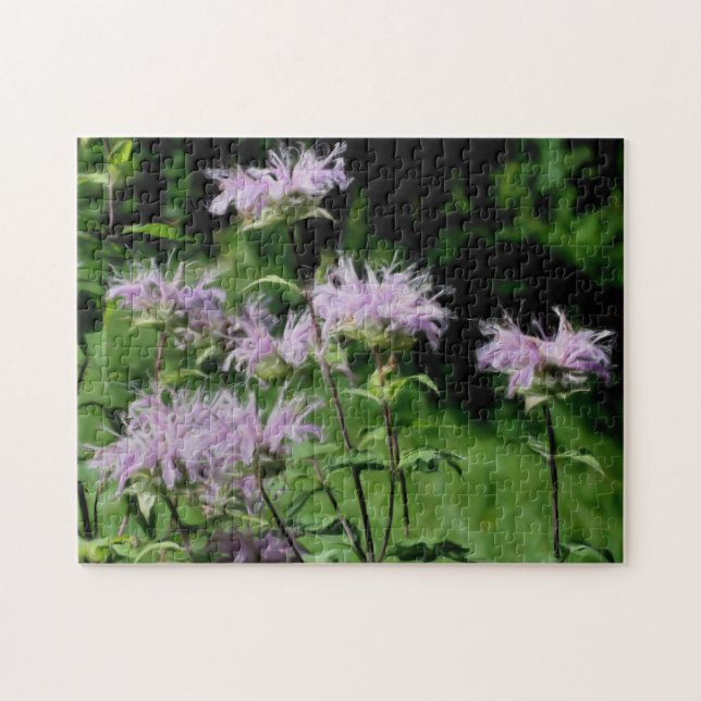 Puzzle Purple Bee Balm Flowers Photo Peinture (Horizontal)