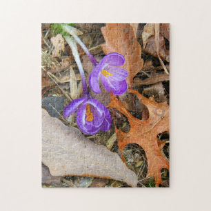 puzzle - Purple Crocuses