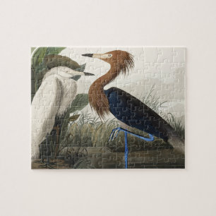Puzzle Purple Heron from Birds of America