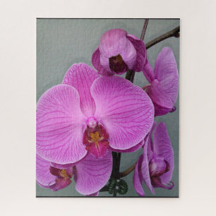 PUZZLE PURPLE ORCHID