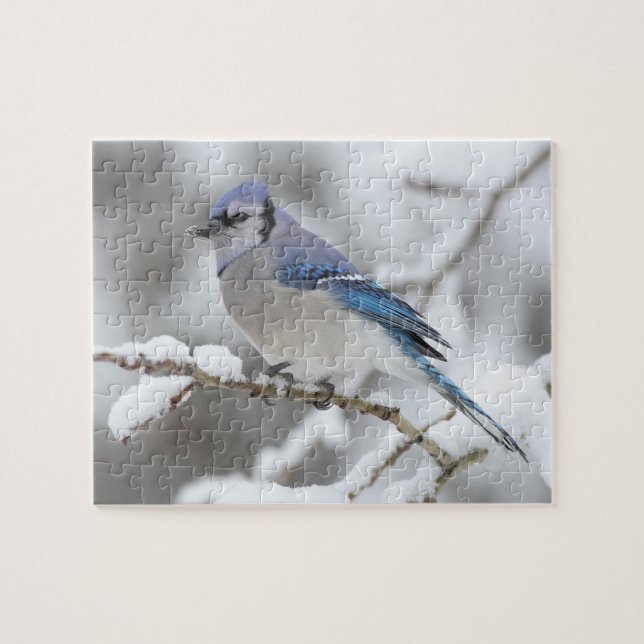 Puzzle Puzzle-Blue Jay (Horizontal)