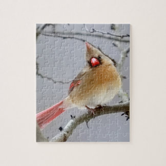 Puzzle puzzle_Cardinal_femelle