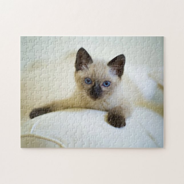Puzzle Puzzle-Kitten (Horizontal)