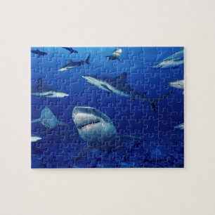Puzzle Puzzle-requins de la vie marine
