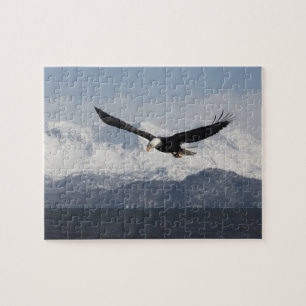 Puzzle Pygargue à tête blanche en vol, Haliaeetus leucoce