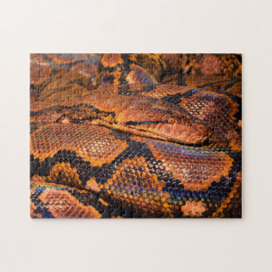 Puzzle Python Boa Snake