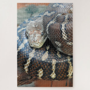 Puzzle Python de tapis de Centralian