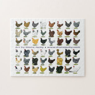 Puzzle Quarante-huit promos de poule