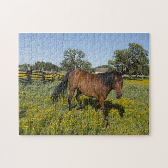 Puzzle Quarter Horses Texas. (Horizontal)