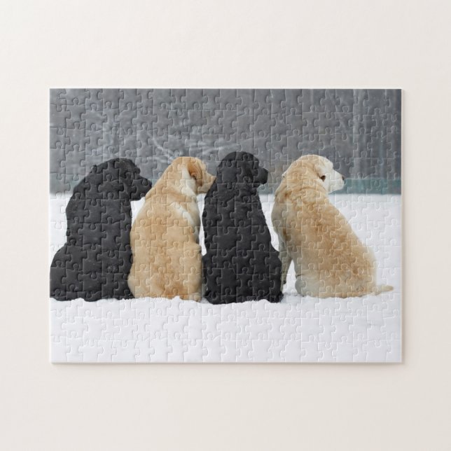 Puzzle Quatre Chiens Du Labrador En Neige (Horizontal)