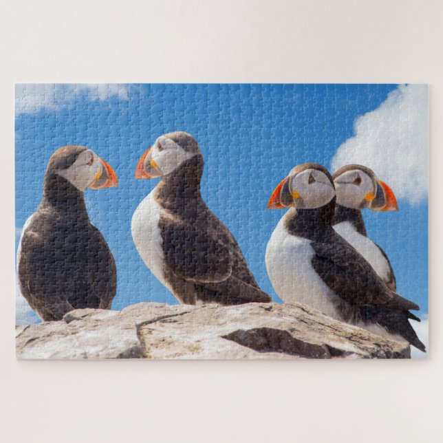 Puzzle Quatre Puffins Posés Sur Un Rocher (Horizontal)