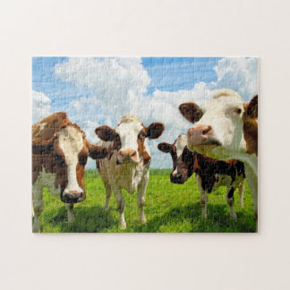 Puzzle Quatre vaches de causerie