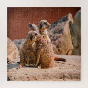 Puzzle Qu'est-ce que Meerkats