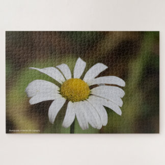 Puzzle Quiet Bloom – Great Smoky Mountains Daisy