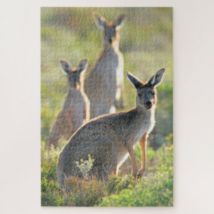 Puzzle QUOI DE PLUS ! 20 x 30 POUCES