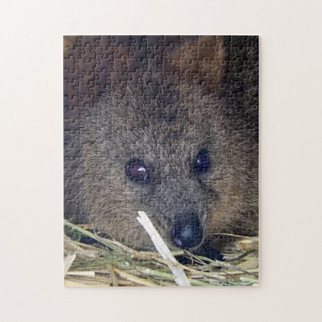 Puzzle Quokka (Vertical)