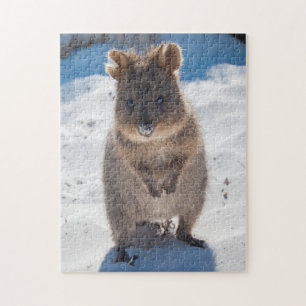 Puzzle Quokka sur la plage, 252 pièces