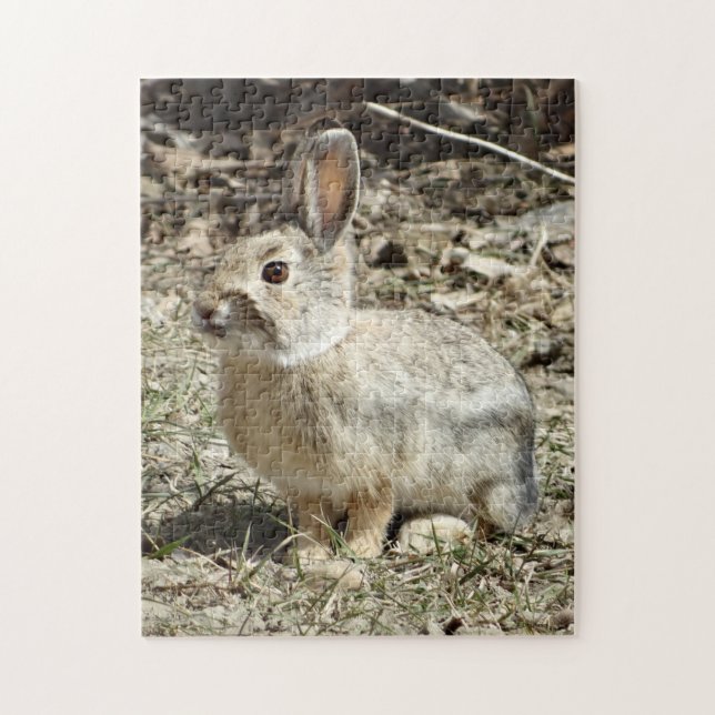 Puzzle R24 Lapin à queue de coton (Vertical)