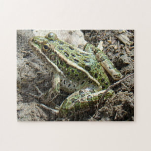 Puzzle R3 Grenouille léopard