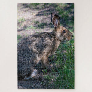 Puzzle Rabbit tranquille : Repos dans la nature