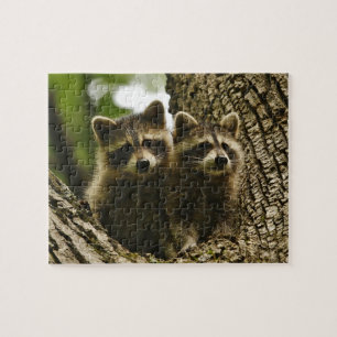 Puzzle Raccoons de bébés mignons