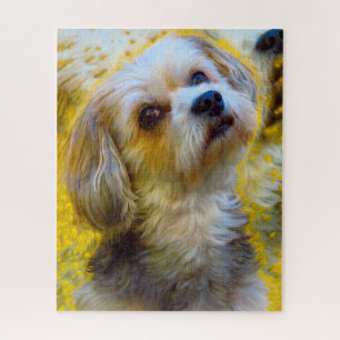 Puzzle Race de chien maltais.