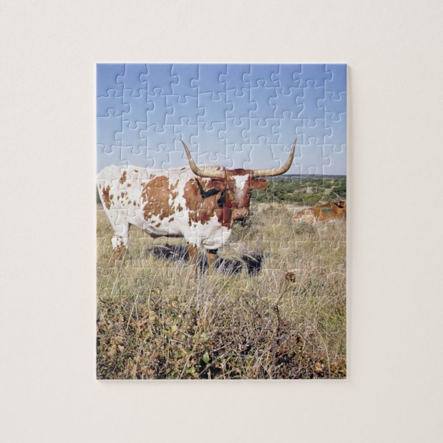 Puzzle Race du Texas Longhorn (photo) (Vertical)