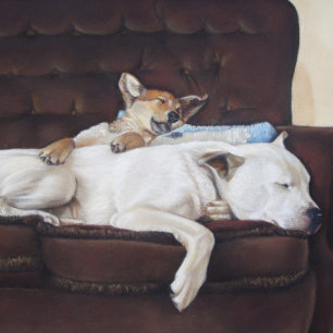 Puzzle race mixte mignon chiot et chien blanc endormi