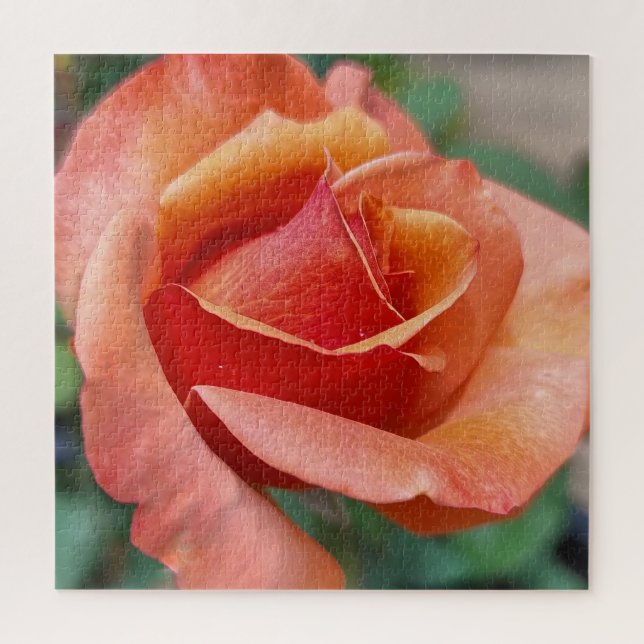 Puzzle Radiant Rose – Petals in Harmony (Vertical)